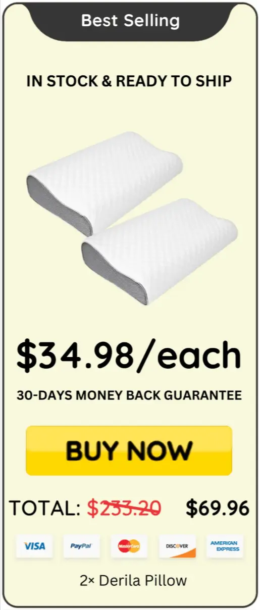 Derila Pillow two pillow pack