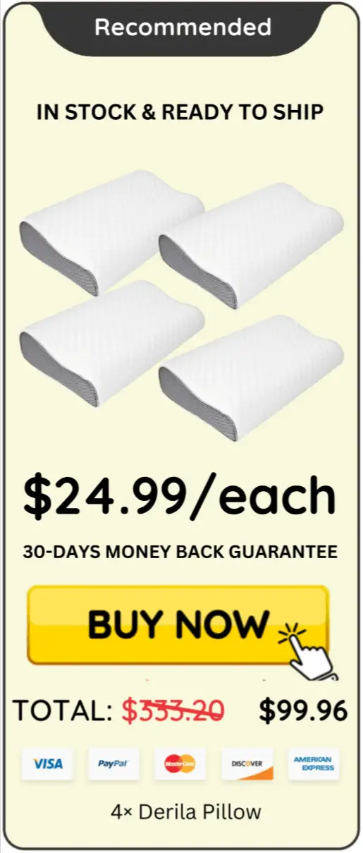 Derila Pillow four pillow bundle