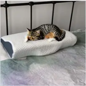 Derila Pillow product image